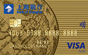 Visa单标EMV芯片金卡.jpg